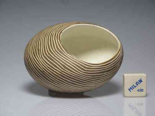 Bowl-shaped shell